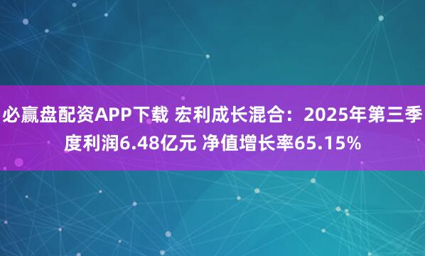 必赢盘配资APP下载 宏利成长混合：2025年第三季度利润6.48亿元 净值增长率65.15%